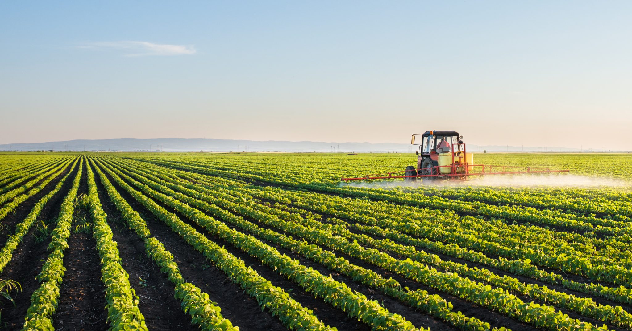 Irrigation System