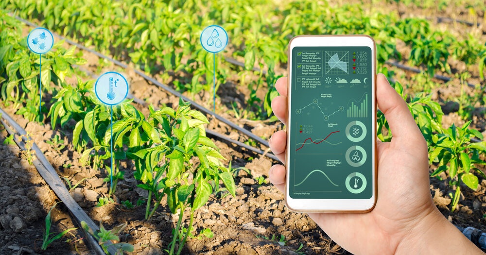 Irrigation System
